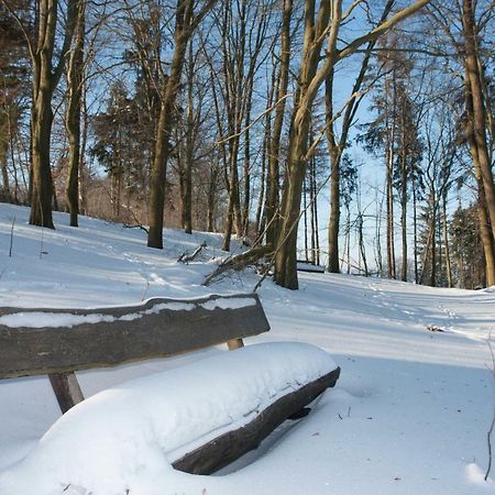 Apartament Schweizer Haus Wippra Zewnętrze zdjęcie